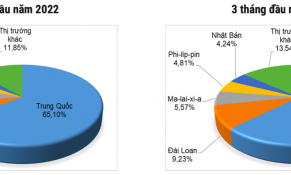 Giá sắn nguyên liệu và tinh bột sắn tại Thái Lan tăng lên mức cao kỷ lục