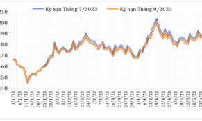 Tháng 5/2023, trong khi giá cà phê Robusta tăng thì Araibica giảm, dự báo xu hướng này sẽ tiếp tục diễn ra