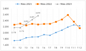 Tháng 5/2023: Giá xuất khẩu cà phê của Việt Nam tăng tháng thứ 3 liên tiếp