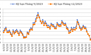 Tháng 6/2023: Giá cà phê Robusta và Arabica trên thị trường thế giới biến động trái chiều