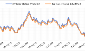 Đầu tháng 7/2023, giá cà phê trên thị trường thế giới giảm do áp lực bán hàng vụ mới