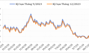 Giữa tháng 7/2023, giá cà phê Robusta và Arabica giảm