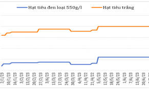 Giá hạt tiêu xuất khẩu ở hầu hết các nước sản xuất ổn định
