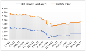 Đầu tháng 8/2023, giá hạt tiêu đen và trắng xuất khẩu ổn định ở hầu hết các nước sản xuất