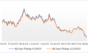Giữa tháng 8/2023, giá cà phê thế giới giảm do thời tiết thuận lợi và nguồn cung vụ mới đã sẵn sàng