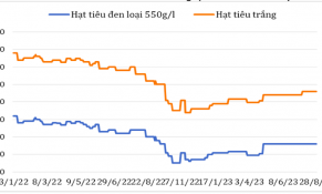 Tháng 8/2023, giá hạt tiêu xuất khẩu tại In-đô-nê-xi-a và Bra-xin tăng mạnh 