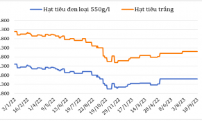 Đầu tháng 9/2023 đền nay, giá hạt tiêu đen và trắng xuất khẩu biến động không đồng nhất 