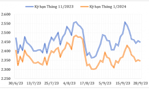 Tháng 9/2023: Giá cà phê Robusta biến động không đồng nhất, giá cà phê Arabica giảm mạnh