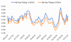Đầu tháng 11/2023, giá cà phê Robusta và Arabica thế giới giảm 