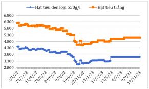 Giữa tháng 11/2023: Giá hạt tiêu xuất khẩu trên thị trường thế giới biến động không đồng nhất