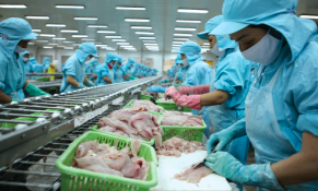 VASEP báo cáo khó khăn của doanh nghiệp thuỷ sản trong kê khai khấu trừ thuế giá trị gia tăng 