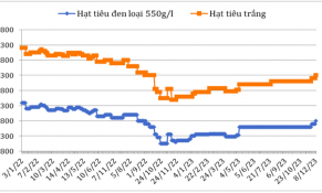 Đầu tháng 12, giá hạt tiêu xuất khẩu khu vực châu Á không đồng nhất