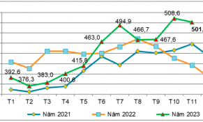 Xuất khẩu sắn giảm cả về lượng và trị giá trong 11 tháng năm 2023