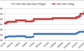 Cuối năm 2023, giá hạt tiêu xuất khẩu biến động không đồng nhất tại các nước sản xuất