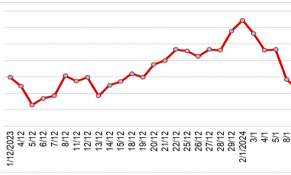 Giá cao su đầu năm 2024 giảm so với cuối năm 2023 do lo ngại về triển vọng nhu cầu của Trung Quốc