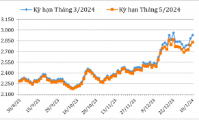 Đầu tháng 01/2024, giá cà phê Robusta và Arabica trên thị trường thế giới tăng giảm trái chiều