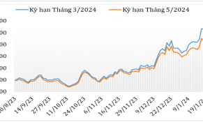 Giữa tháng 01/2024, giá cà phê Robusta tăng trong khi cà phê Arabica giảm