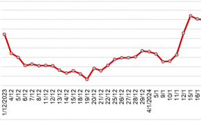 Giữa tháng 1/2024, giá cao su tại châu Á tiếp tục tăng do nhu cầu từ Trung Quốc
