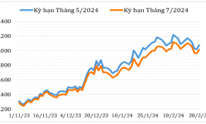 Tháng 2/2024, giá cà phê Robusta biến động không đồng nhất