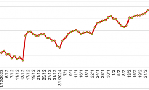 Thị trường giá thịt lợn thế giới trong tháng 2/2024