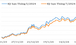Đầu tháng 3/2024, giá cà phê Robusta và Arabica trên thị trường thế giới tăng mạnh 