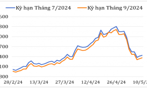 Giá cà phê Robusta và Arabica trên thị trường thế giới giảm mạnh trong đầu tháng 5/2024