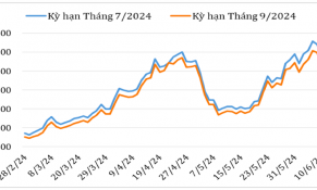 Đầu tháng 6/2024, giá cà phê Robusta trên thị trường thế giới tăng do nguồn cung khan hiếm