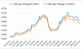 Cuối tháng 6/2024, giá cà phê Robusta và Arabica trên thị trường thế giới giảm mạnh 