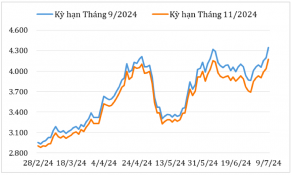 Đầu tháng 7/2024, giá cà phê Robusta và Arabica trên thị trường thế giới tăng mạnh trở lại