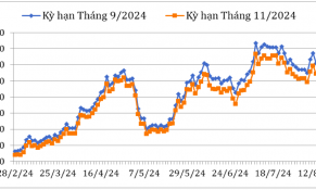 Đầu tháng 8/2024, giá cà phê Robusta và Arabica trên thị trường thế giới biến động mạnh