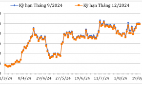 Giữa tháng 8/2024, giá cà phê thế giới tăng mạnh do lo ngại thời tiết không thuận lợi 