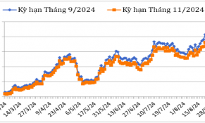 Cuối tháng 8/2024, giá cà phê thế giới tăng mạnh lên mức kỷ lục trong 13 năm
