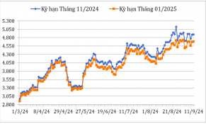 Đầu tháng 9/2024, giá cà phê Robusta và Arabica trên các sàn giao dịch tiếp tục xu hướng tăng