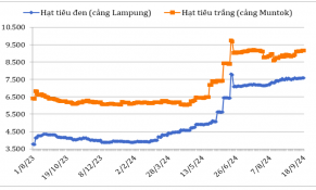 Giữa tháng 9/2024, giá hạt tiêu xuất khẩu của các nước sản xuất lớn đồng loạt tăng mạnh