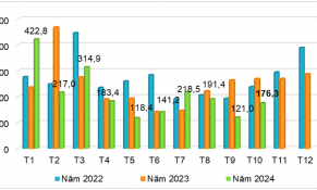 Xuất khẩu sắn và các sản phẩm từ sắn giảm so với cùng kỳ năm ngoái