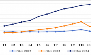 Năm 2024: Ngành cà phê thành công khi trị giá xuất khẩu vượt mốc 5 tỷ USD 