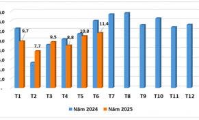 Tháng 6/2025, xuất khẩu chè sang các thị trường ghi nhận tăng trưởng tích cực