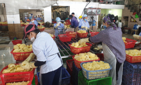 Nông Cống (Thanh Hoá): Phát triển sản phẩm OCOP bền vững gắn liền với làng nghề truyền thống