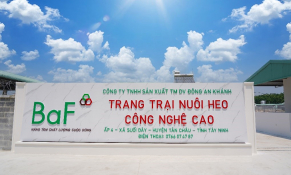 Chuyển động thị trường tài chính ngày 01/11: BaF Việt Nam lãi gấp 4 lần, Tập đoàn Hàn Quốc giảm sở hữu vốn tại Masan
