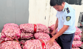 Hậu Giang: Thu giữ trên 1,2 tấn tỏi khô để xác minh nguồn gốc