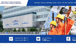 Công ty Sao Vàng: Nhà thầu tham gia và trúng nhiều dự án của EVNNPC với những gói thầu tiết kiệm thấp