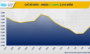 ECB cắt giảm lãi suất, giá dầu tiếp đà tăng