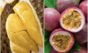 Cơ hội nâng cao năng lực thâm nhập thị trường Trung Quốc cho doanh nghiệp xuất khẩu sầu riêng, chanh leo