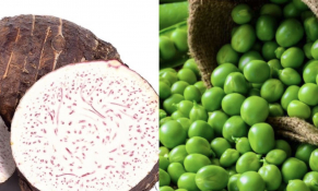 Khoai môn và đậu Hà Lan của Việt Nam được yêu cầu tăng tần suất kiểm tra tại Đài Loan