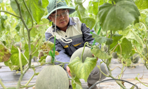 Bùi Đình Hội  - Hưng Long I Farm hiện thực hóa giấc mơ nông nghiệp sạch