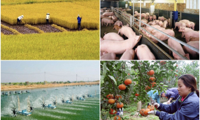 Giải pháp hỗ trợ người dân sản xuất nông nghiệp, tạo điều kiện để tiếp cận vốn