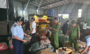 Phú Yên: Tiêu hủy hàng hóa vi phạm với tổng giá trị gần 2,9 tỷ đồng