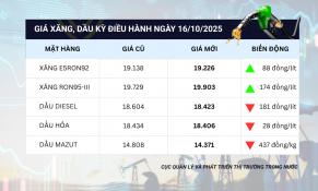 Tác động kép từ thị trường năng lượng toàn cầu