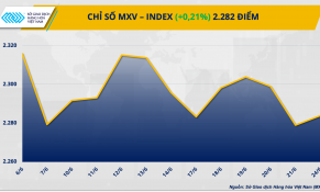 Cà phê tăng mạnh, cacao giảm sâu về mức thấp nhất trong 1 tháng