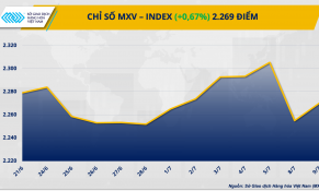 Giá cà phê Robusta thiết lập đỉnh lịch sử mới